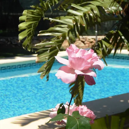 Magnolia *
